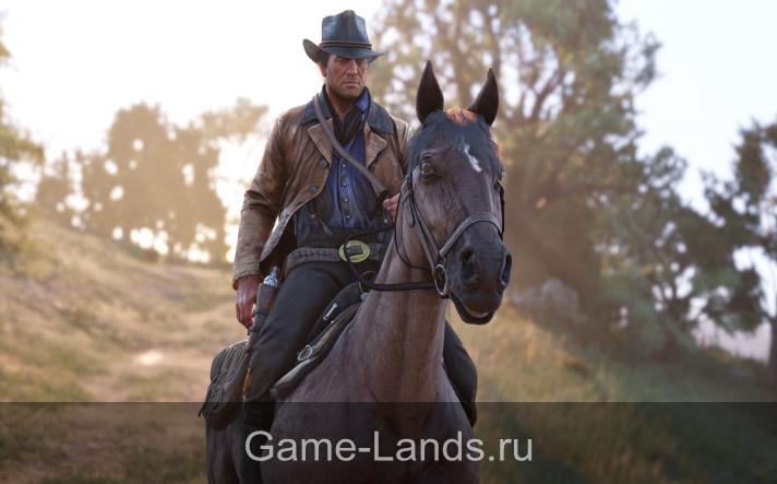 Red Dead Redemption 2 советы новичкам